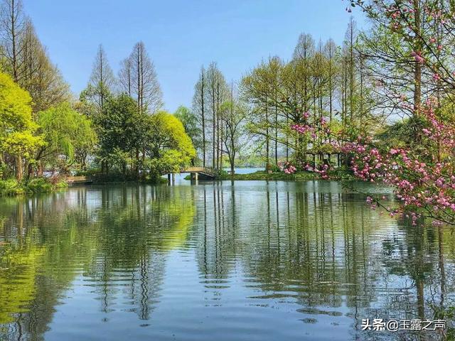 10首唯美“春雨诗词”，美得令人浮想联翩，最后一首堪称绝唱