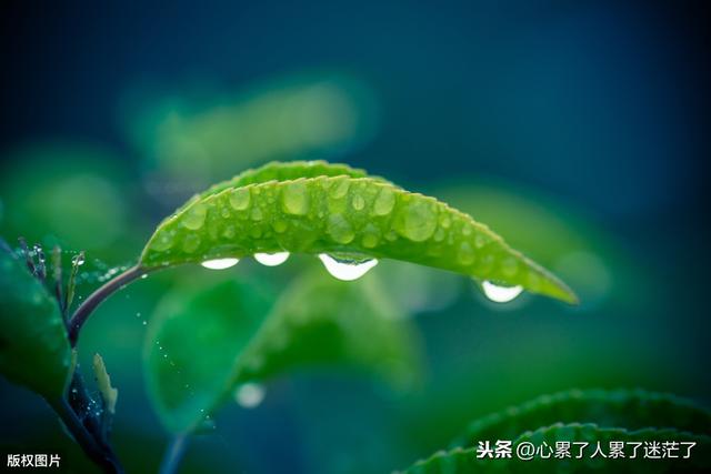 人生感悟经典句子，学会爱自己，宠自己