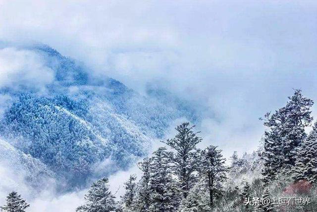 冬日的庐山，掩于冰雪世界下的千娇百媚，隐约空蒙、清明沉静