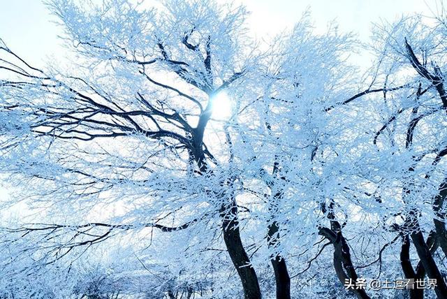 冬日的庐山，掩于冰雪世界下的千娇百媚，隐约空蒙、清明沉静