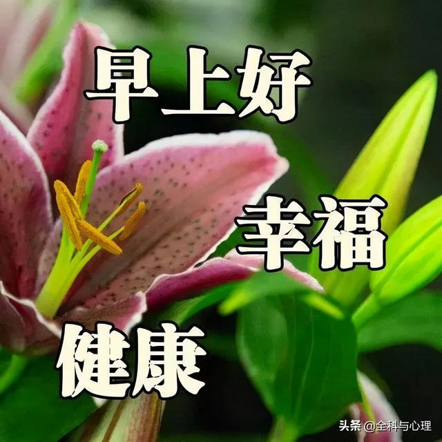 心存善念，阳光就会照耀你