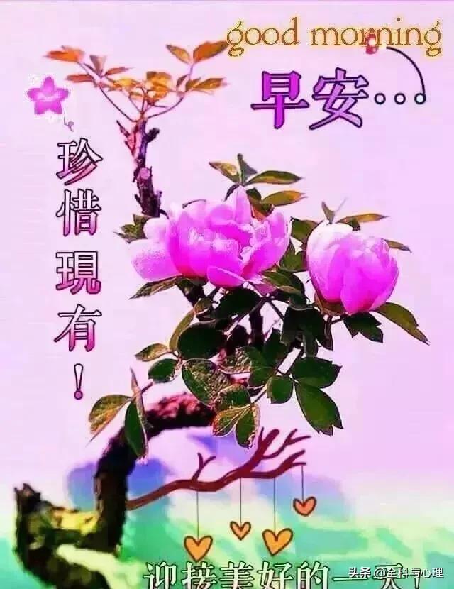 心存善念，阳光就会照耀你