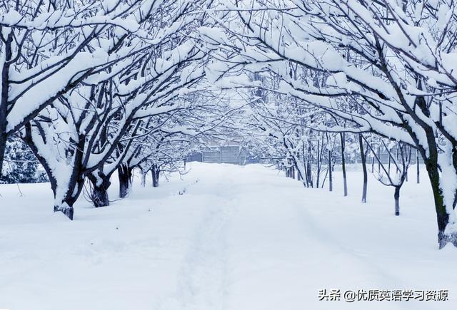 英语原版阅读：冬天Winter