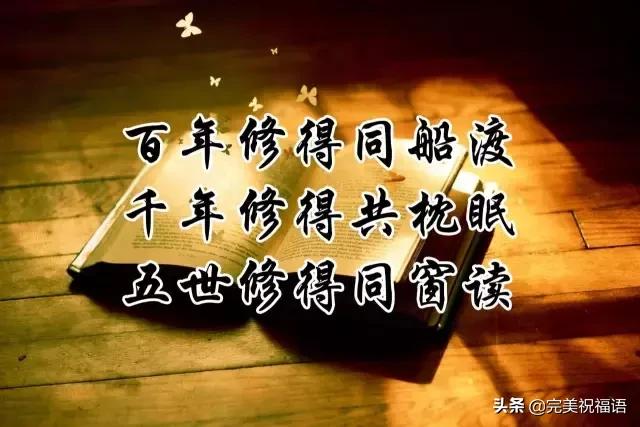 送给老同学！（真的好美）