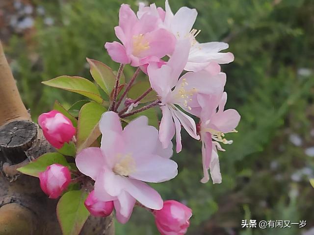 春花秋月，夏风冬雪。四季更迭，岁月流转，过好每一个春夏秋冬