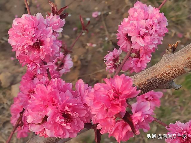 春花秋月，夏风冬雪。四季更迭，岁月流转，过好每一个春夏秋冬