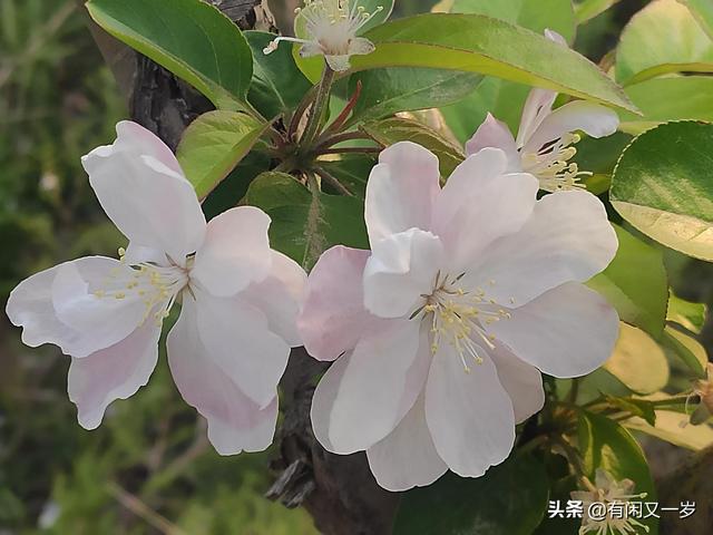 春花秋月，夏风冬雪。四季更迭，岁月流转，过好每一个春夏秋冬