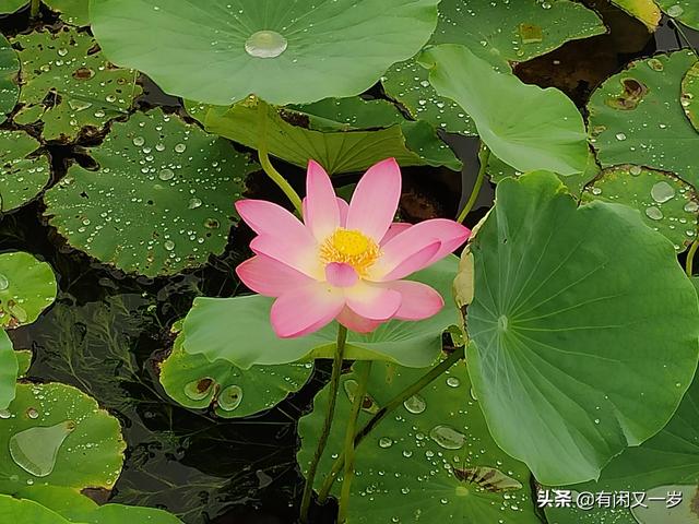 春花秋月，夏风冬雪。四季更迭，岁月流转，过好每一个春夏秋冬