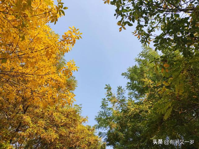 春花秋月，夏风冬雪。四季更迭，岁月流转，过好每一个春夏秋冬