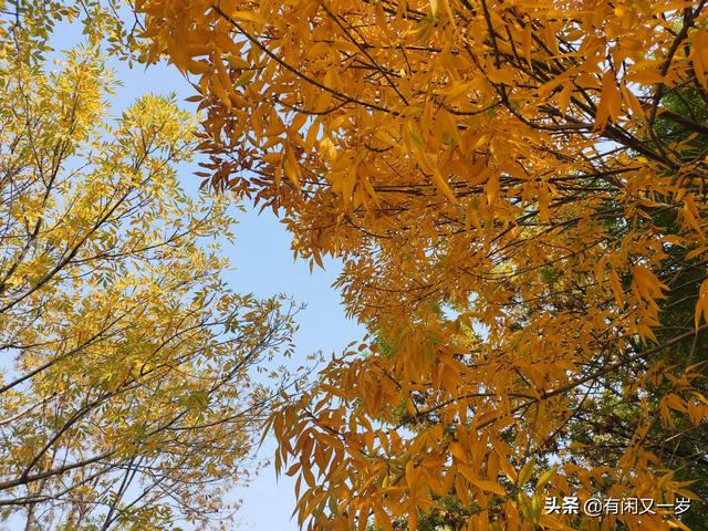 春花秋月，夏风冬雪。四季更迭，岁月流转，过好每一个春夏秋冬