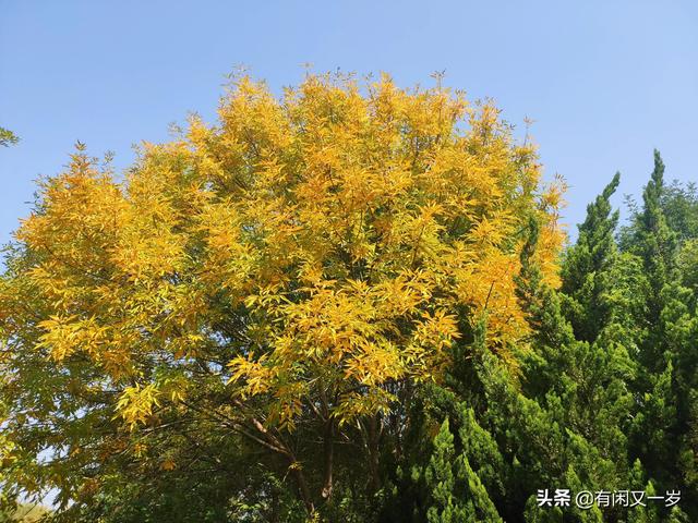 春花秋月，夏风冬雪。四季更迭，岁月流转，过好每一个春夏秋冬