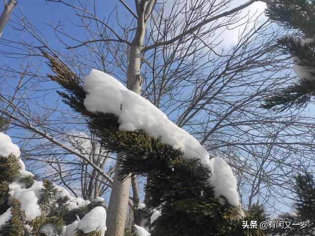 春花秋月，夏风冬雪。四季更迭，岁月流转，过好每一个春夏秋冬