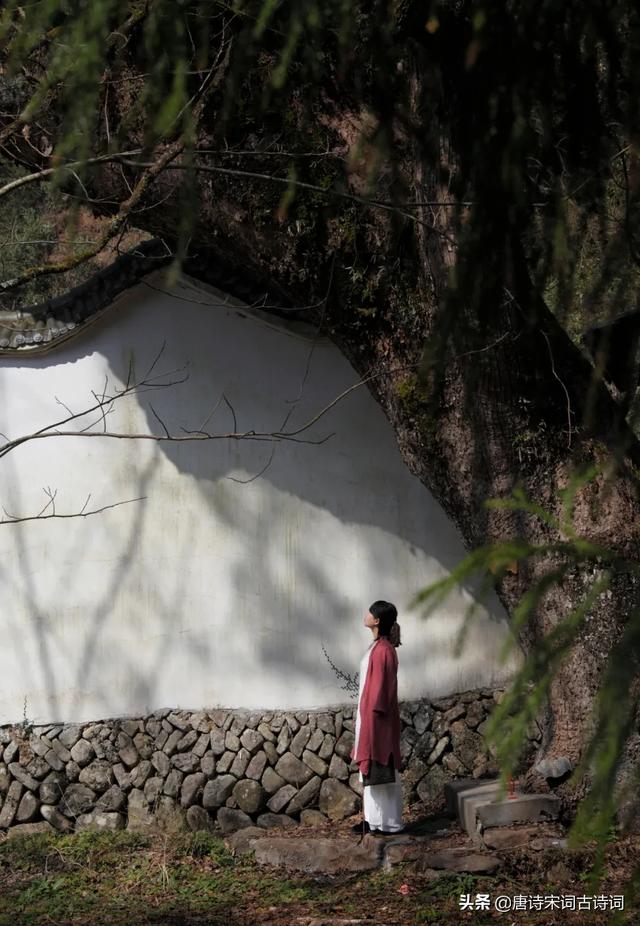 古诗词中的真挚友情：高山流水遇知音