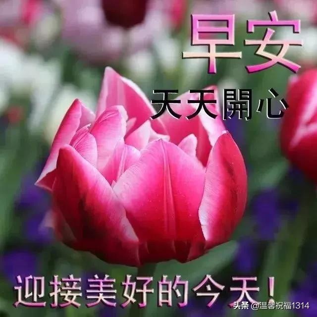 周日早安，阳光明媚，愿你周末愉快