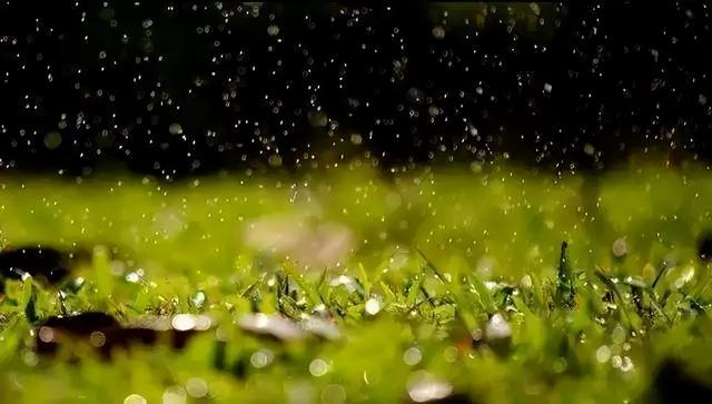 春夜喜雨丨诗人眼里的春雨