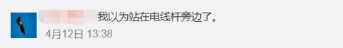 椰树集团重发“土味”招聘广告，网友神评论……