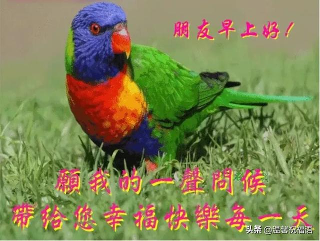 走过人生四季，一路风与景，愿你快乐！早上好