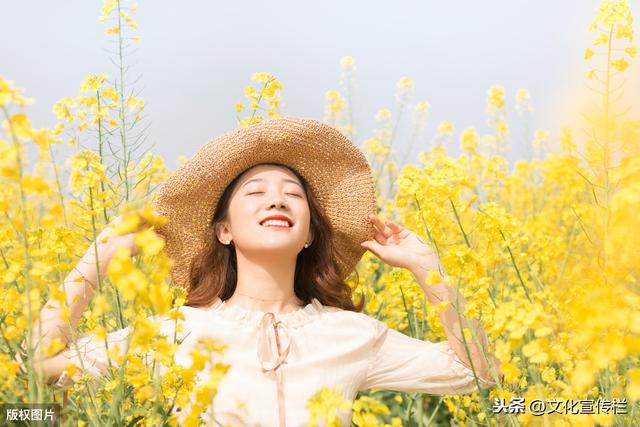 17首油菜花诗词：清明过了桃花尽，颇觉春容属菜花。诗美景美人美