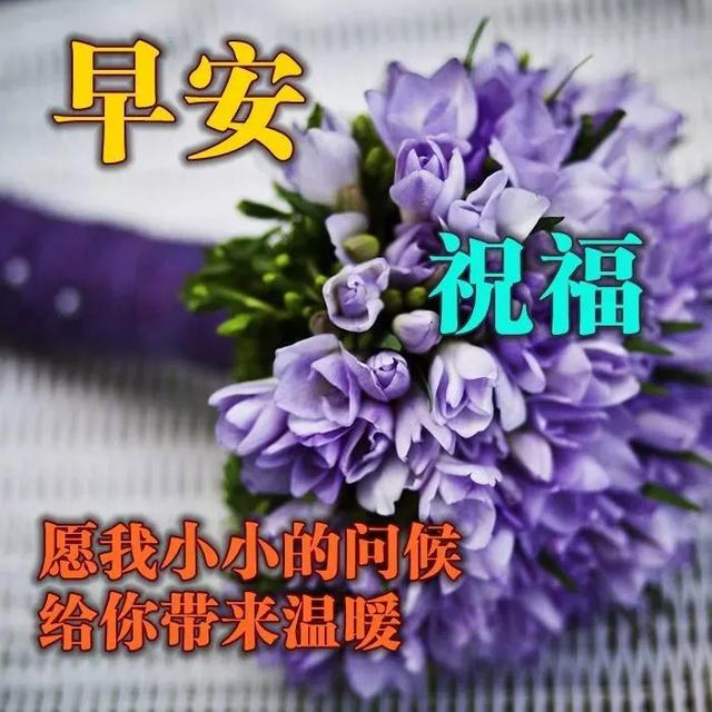 给你一声问候，愿能带给你无数好运，幸福万年，早安