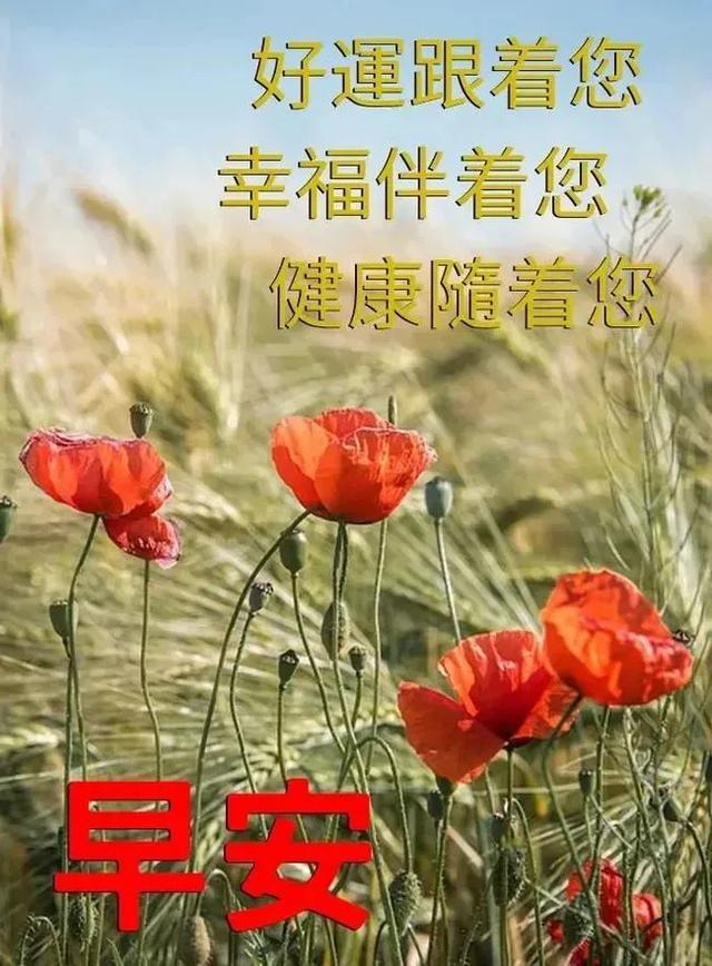 给你一声问候，愿能带给你无数好运，幸福万年，早安