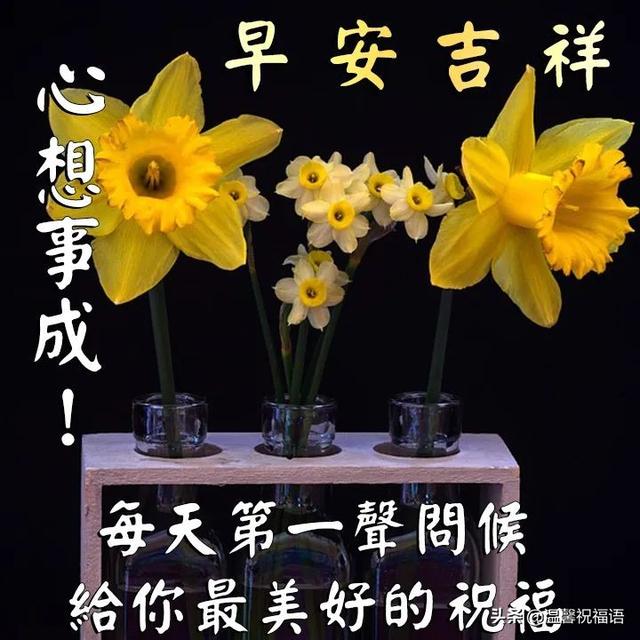 5月11日清晨最新早上祝福语大全，远方的好友您天天有份好心情