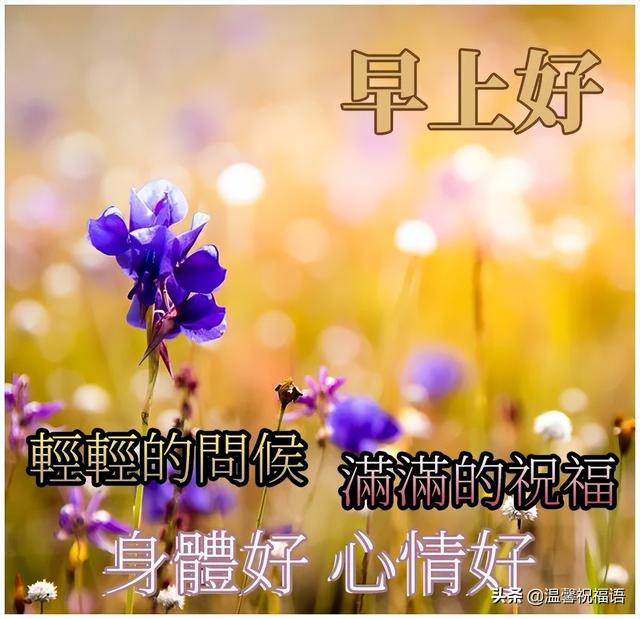 5月11日清晨最新早上祝福语大全，远方的好友您天天有份好心情