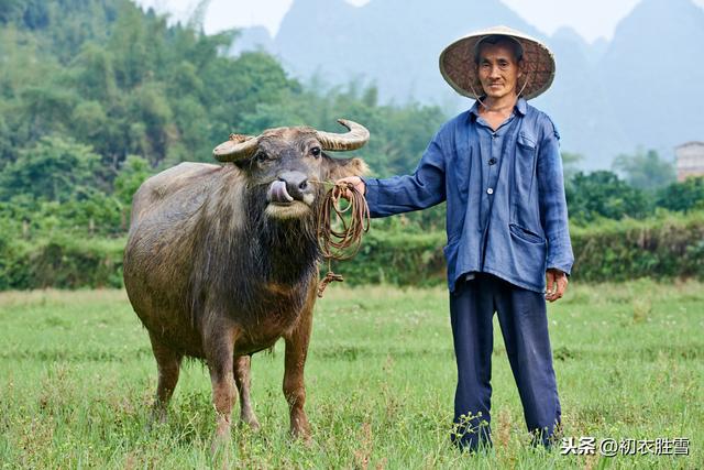 陆游诗读：春耕人在野，农具已山立