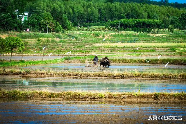 陆游诗读：春耕人在野，农具已山立