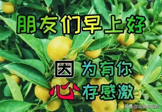 早上好，11月18日，珍惜眼前的幸福，愿你事事顺利幸福绕