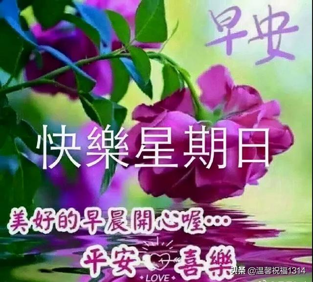 周末愉快早上好问候语，星期天阳光早晨好图片带字