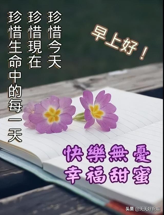 有创意的友情早上好免打字图片带祝福语 温馨的早上好问候图片精选