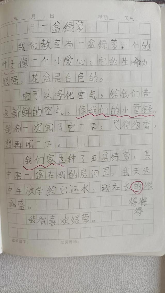 进步源于每天的坚持