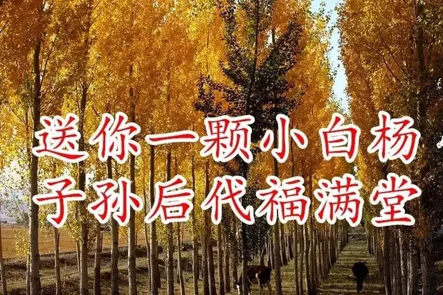 今天9月3日，福寿日，祝你健康长寿福气满满！快打开看看吧！