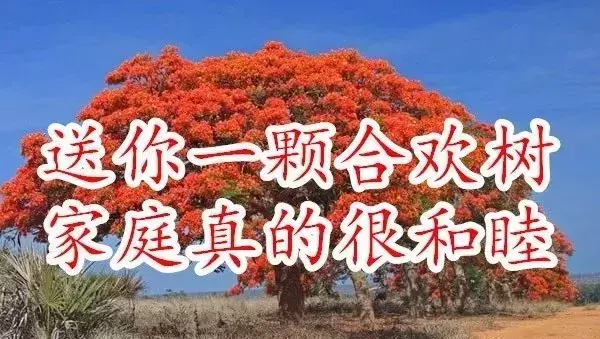 今天9月3日，福寿日，祝你健康长寿福气满满！快打开看看吧！