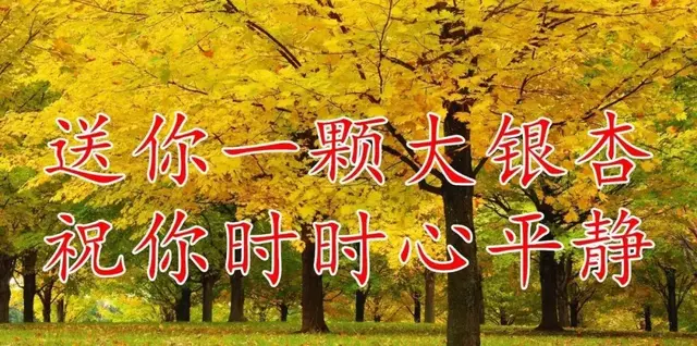 今天9月3日，福寿日，祝你健康长寿福气满满！快打开看看吧！