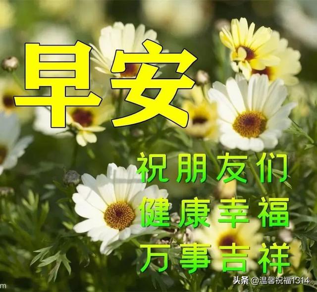 清晨问候朋友的早安阳光暖心句子，早上好问候动态表情图片带字