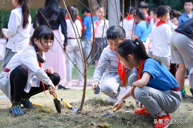 十岁成长礼！“锦一附小”学子，与“梦”同行，向阳生长