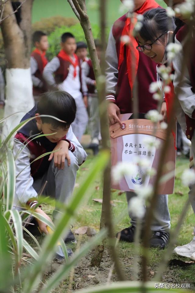 十岁成长礼！“锦一附小”学子，与“梦”同行，向阳生长