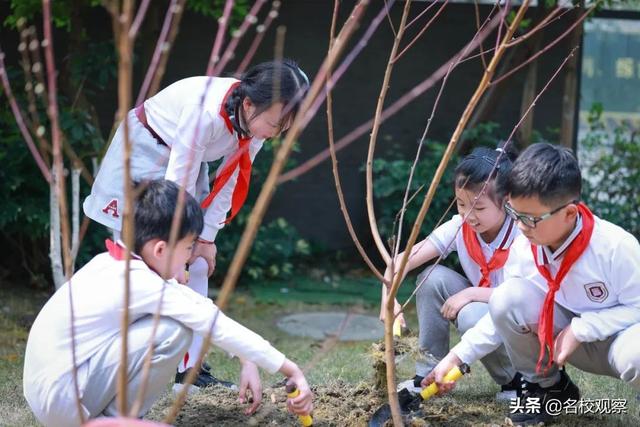 十岁成长礼！“锦一附小”学子，与“梦”同行，向阳生长