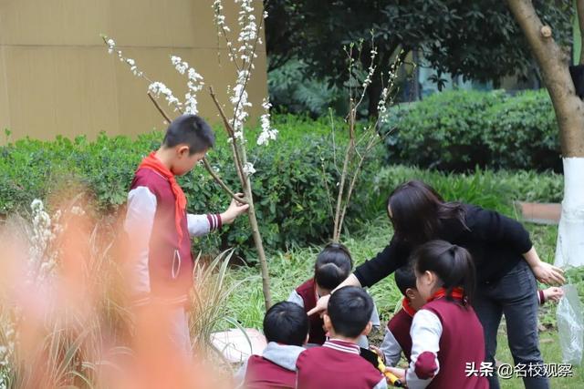 十岁成长礼！“锦一附小”学子，与“梦”同行，向阳生长