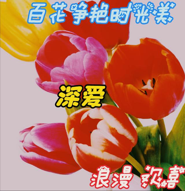 一花一深情，百花争艳时光美，万紫千红岁月好，有情有爱心欢喜