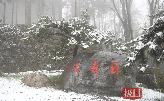 湖北保康：四月飞雪