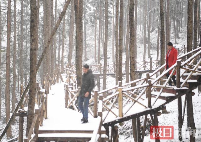 湖北保康：四月飞雪