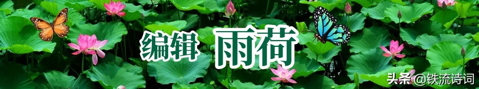 陈火星｜西江月·赞人民教师