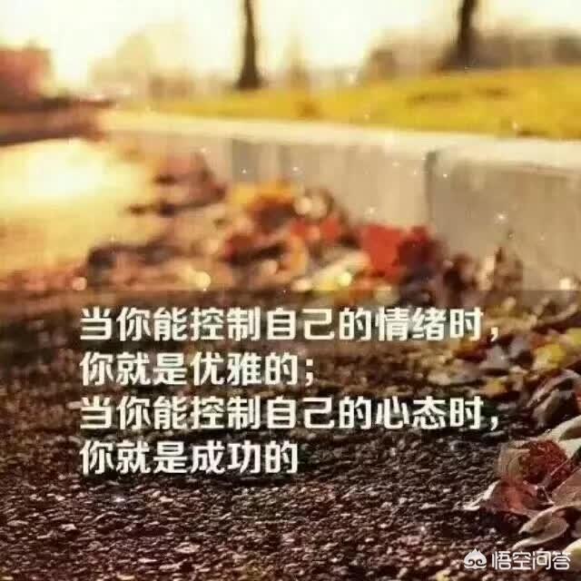 有哪些让人幸福感倍增的句子？