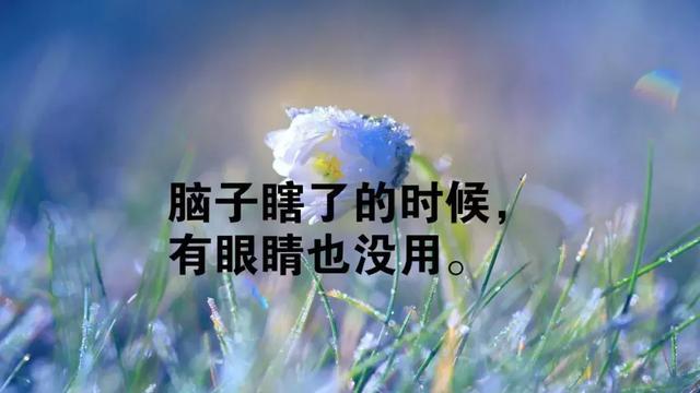 深夜致自己的正能量句子，凡是没有打败你的，都会让你更加强大