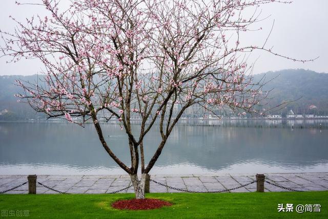 早春，西湖美，感受最美的湖光山色