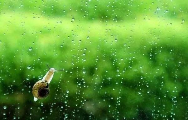 10首写雨的美诗词，喜欢雨的朋友们可以多看看，意境很美的